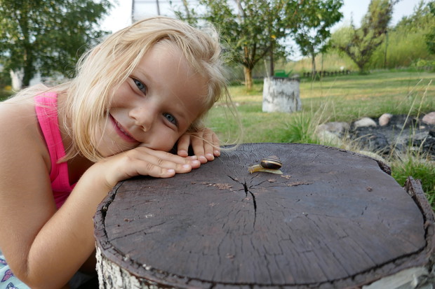 W ogrodzie można zawierać nowe przyjaźnie