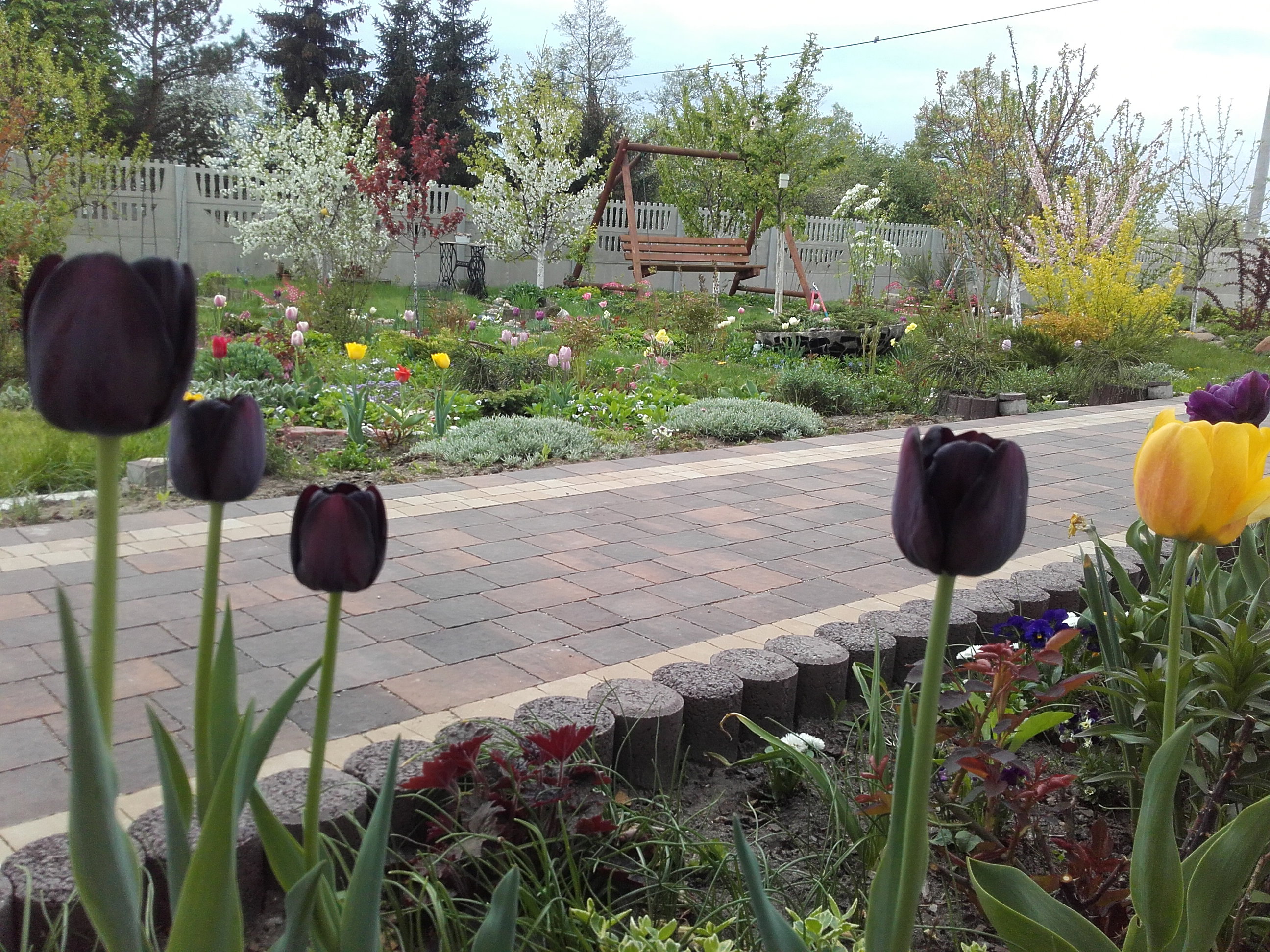 Wiosna zagościła na dobre