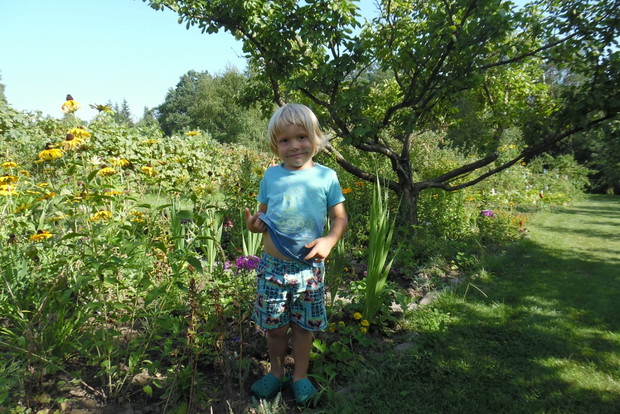 wśród letnich kwiatów