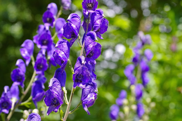 (zdj.: Adobe Stock)