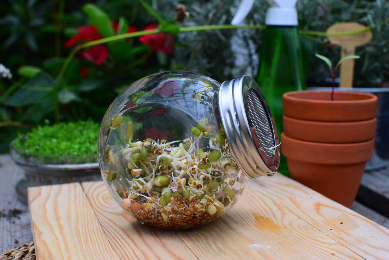  (zdj.: materiały producenta)