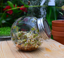 (zdj.: materiały producenta)