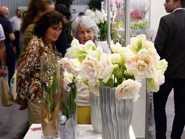 (zdj.: materiały wystawcy)