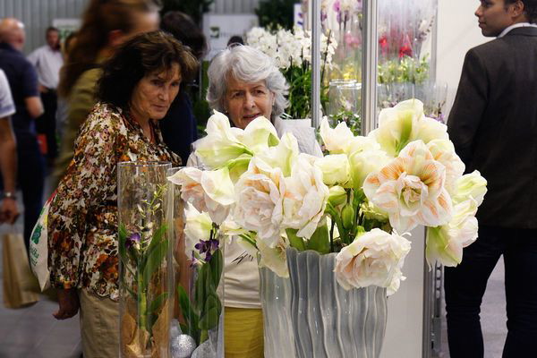 (zdj.: materiały wystawcy)