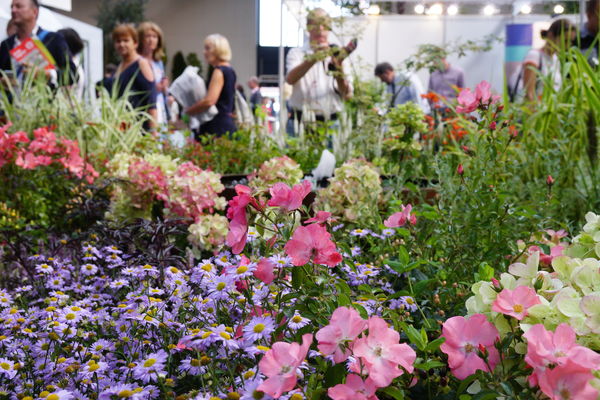 (zdj.: materiały wystawcy)