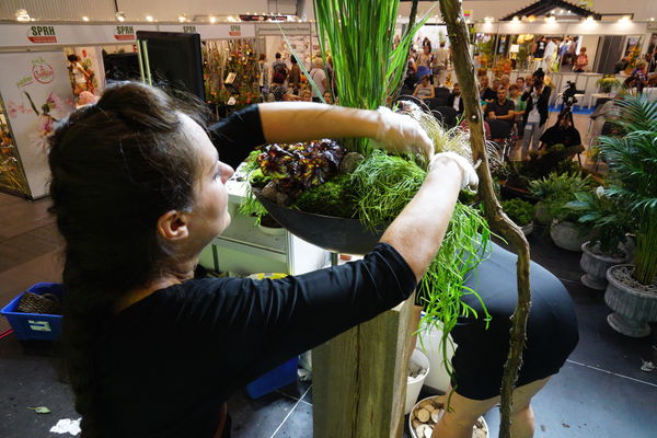 (zdj.: materiały wystawcy)