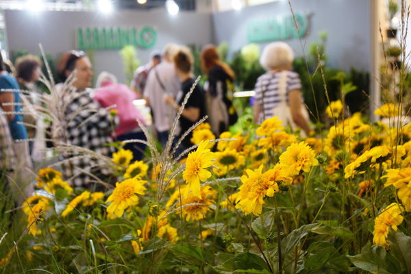 (zdj.: materiały wystawcy)