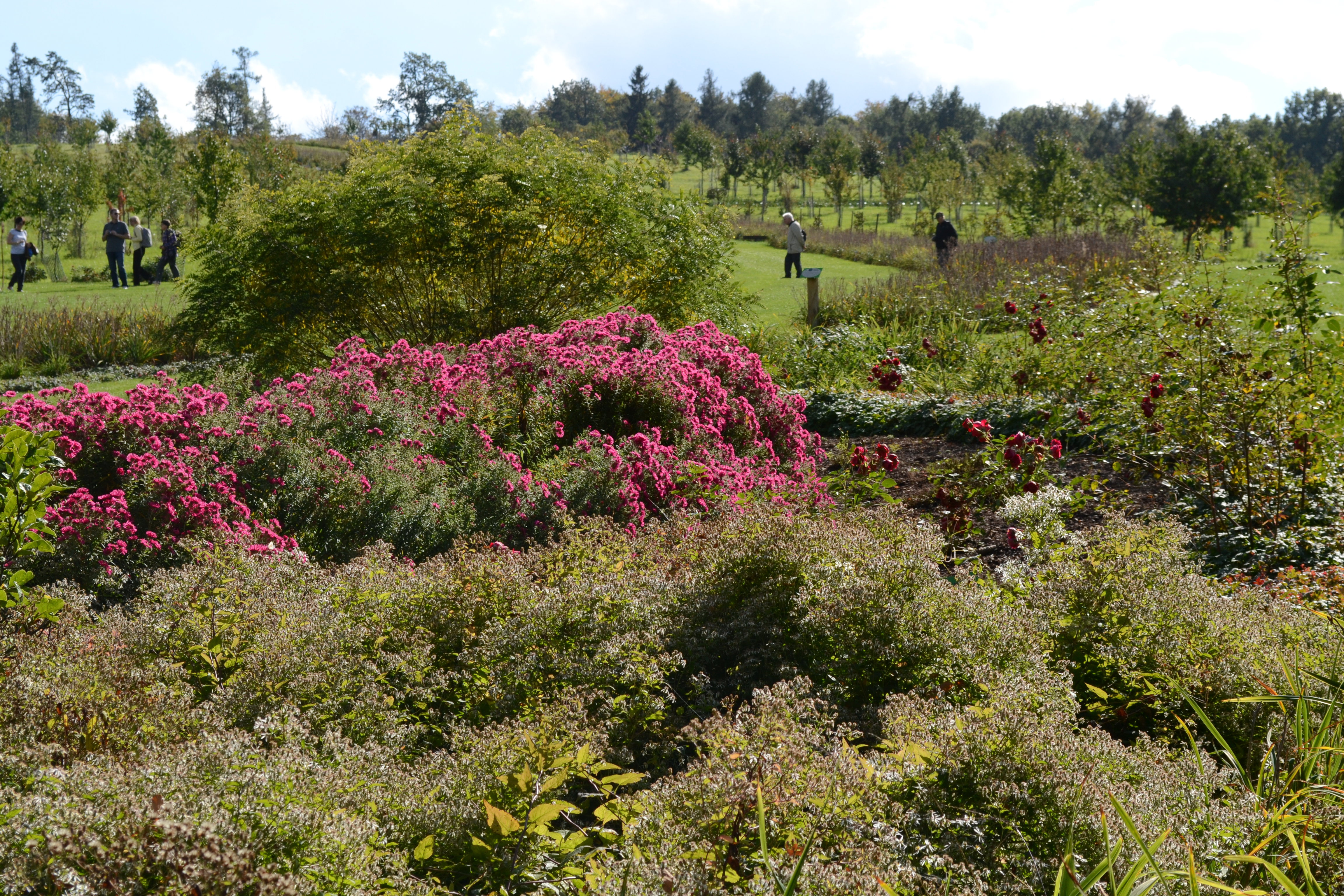 Arboretum w Wojsławicach jest czynne od 20 kwietnia do 5 października.