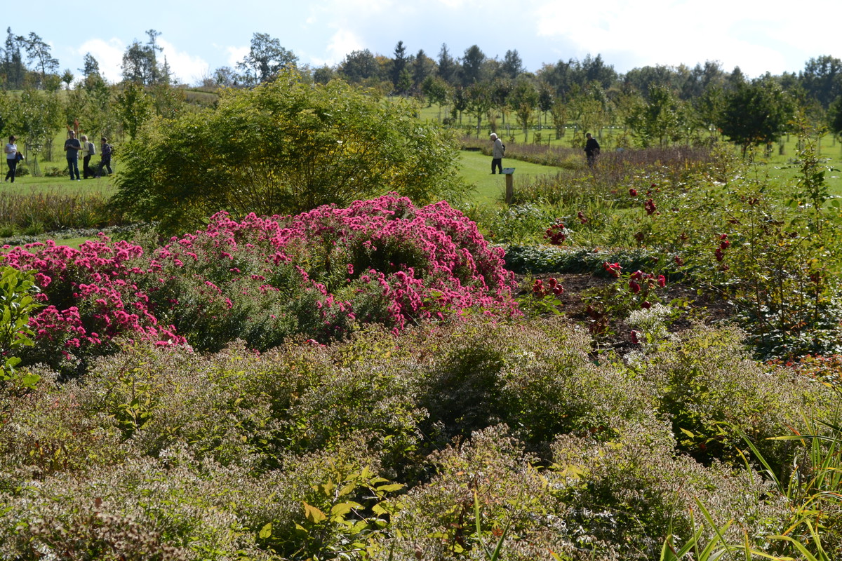 Arboretum w Wojsławicach jest czynne od 20 kwietnia do 5 października.