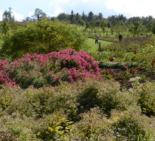 Arboretum w Wojsławicach jest czynne od 20 kwietnia do 5 października.