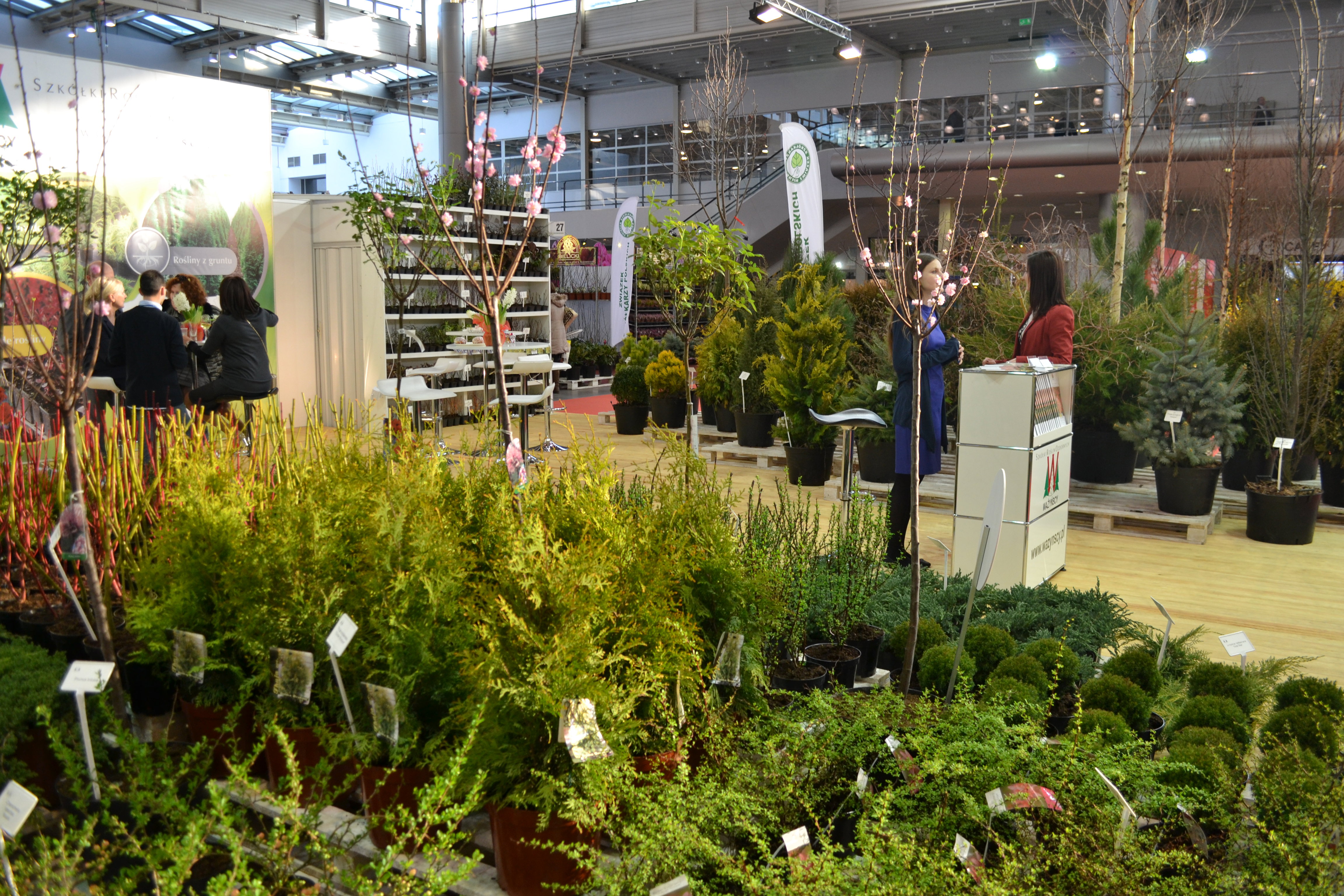 Pawilon 3A. Raj dla poszukiwaczy nowych roślin do swoich ogrodów.                                        