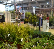 Pawilon 3A. Raj dla poszukiwaczy nowych roślin do swoich ogrodów.