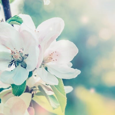 grafika tekst wstęp