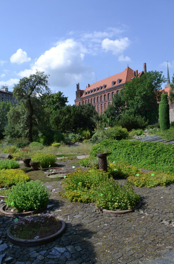 Ogród Botaniczny we Wrocławiu.