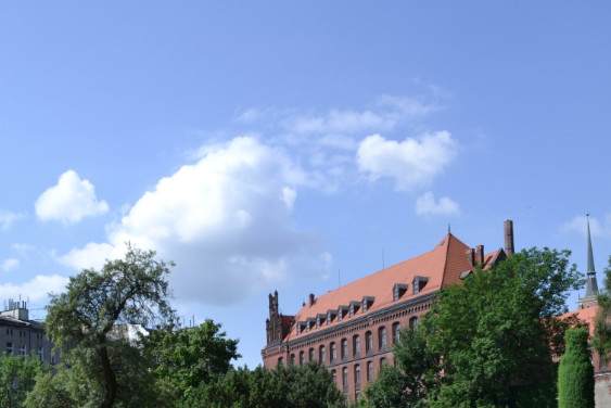 Ogród Botaniczny we Wrocławiu.