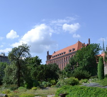 Ogród Botaniczny we Wrocławiu.