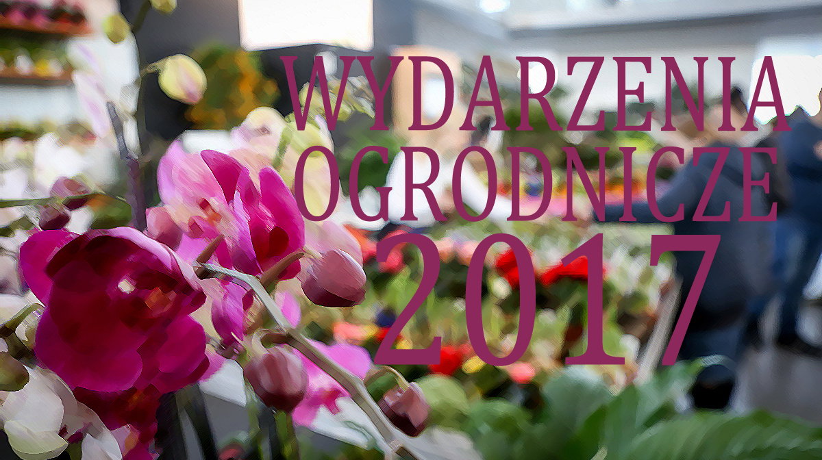 (zdj.: materiały prasowe - Gardenia)