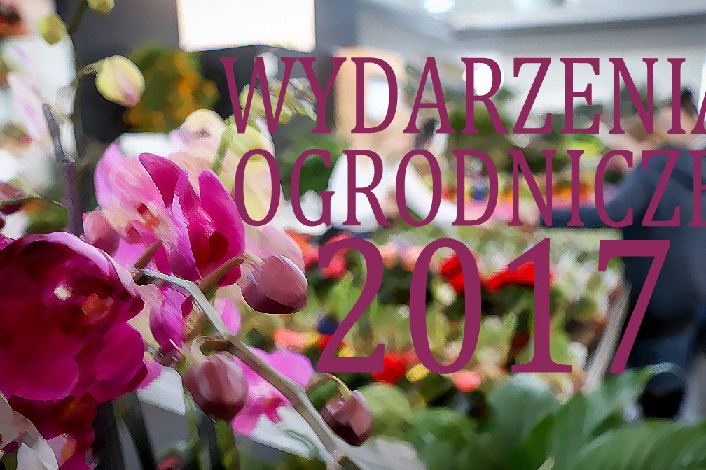 (zdj.: materiały prasowe - Gardenia)