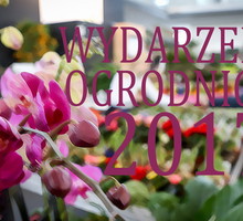 (zdj.: materiały prasowe - Gardenia)