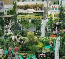 Na zwiedzających czeka ponad ponad 250 wystawców z 11 krajów – Polski, Belgii, Danii, Czech, Francji, Holandii, Litwy, Łotwy, Niemiec, Słowacji i Włoch.