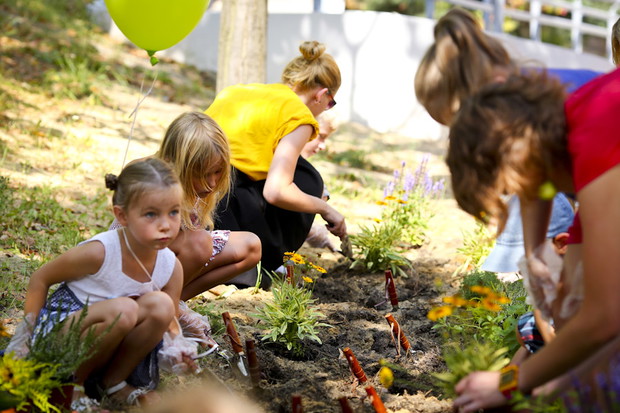 Sadzenie roślin wokół szkoły.