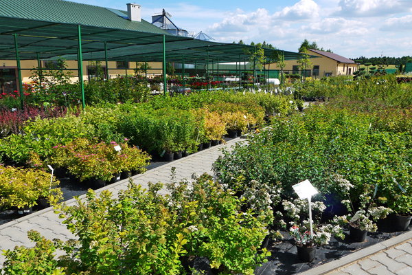 (materiały prasowe: Rolmarket.pl)