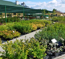 (materiały prasowe: Rolmarket.pl)