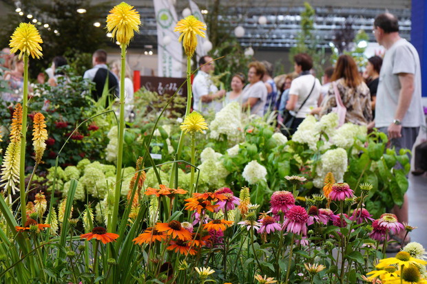 (zdj.: materiały wystawcy)