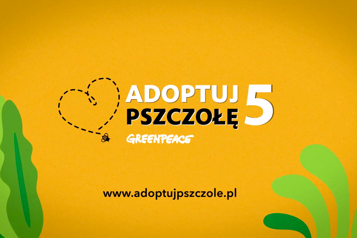 (zdj.: Greenpeace Polska)