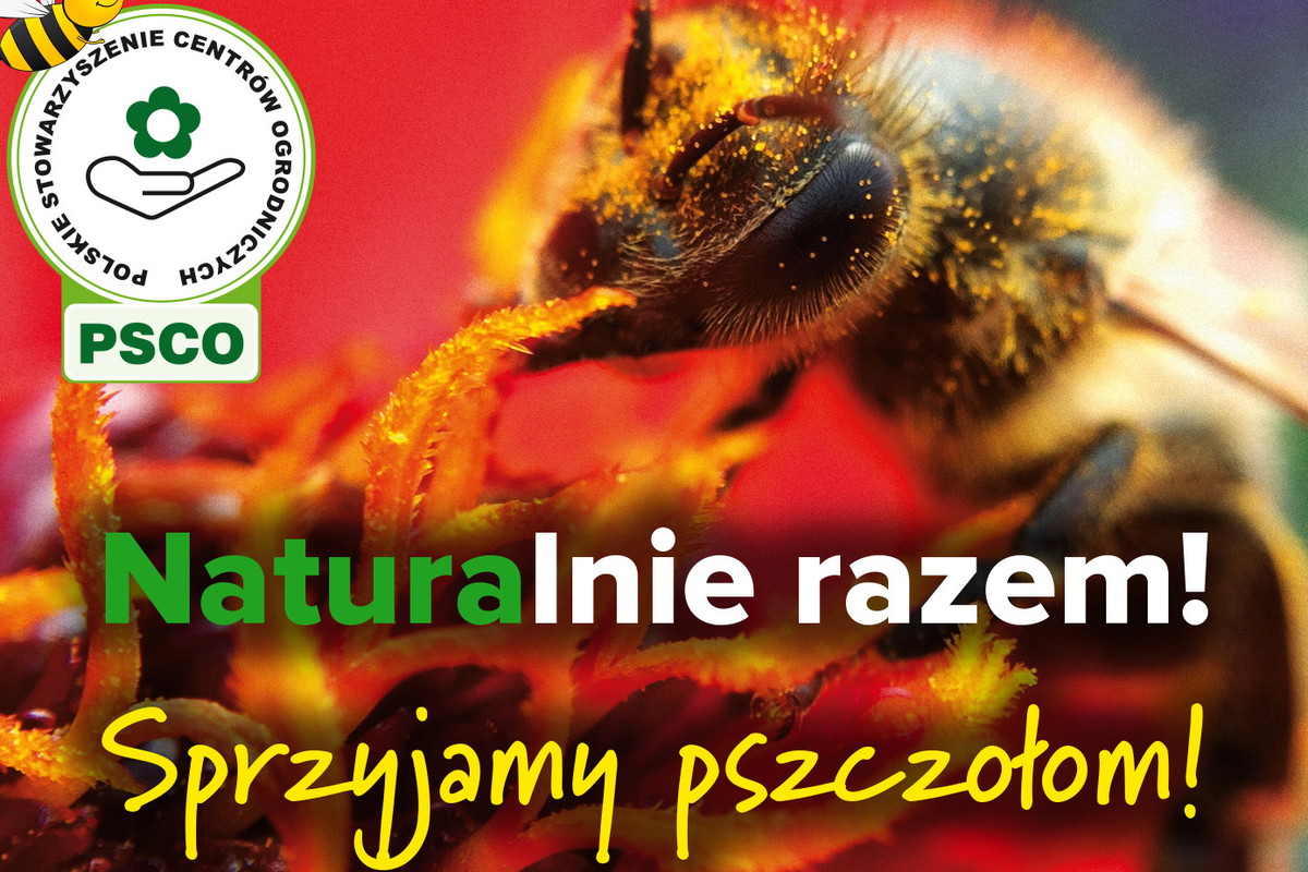 Czy wiecie, że na świecie istnieje ponad 20 000 gatunków pszczół, w Polsce około 470 gatunków?