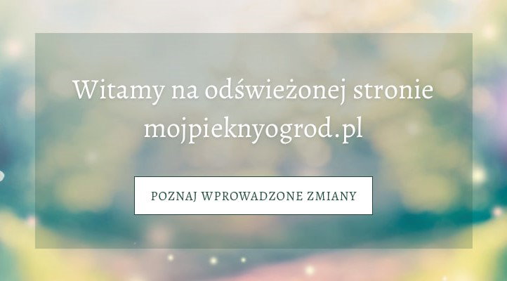 Nowy Mój Piękny Ogród