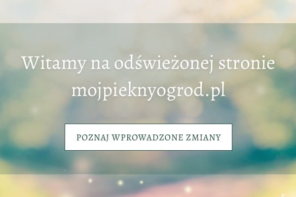 Nowy Mój Piękny Ogród
