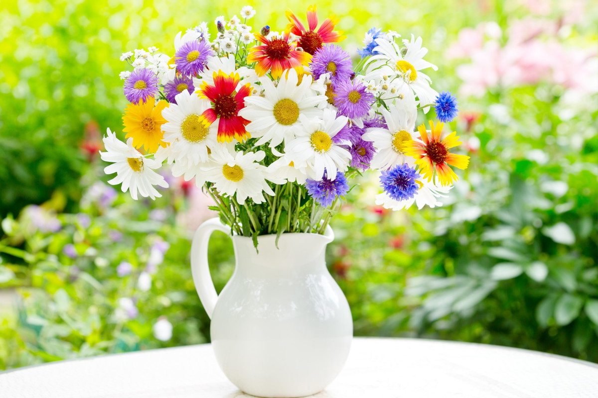 bukiet letnich kwiatów