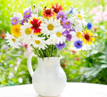 bukiet letnich kwiatów