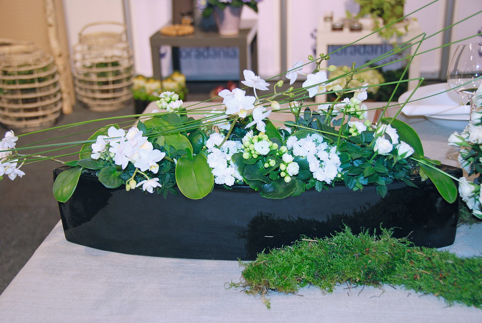 dekoracja z kwiatów doniczkowych