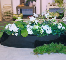 dekoracja z kwiatów doniczkowych