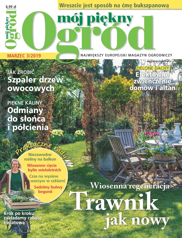 mój piękny ogród 3/2019