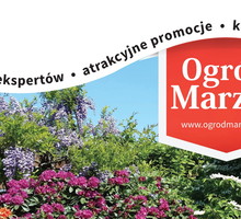 ogrod marzen