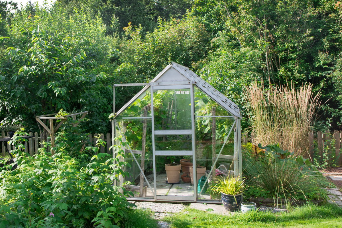 szklarnia ogród