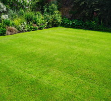 trawnik idealny substral