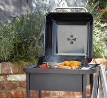 blooma rockwell 2000