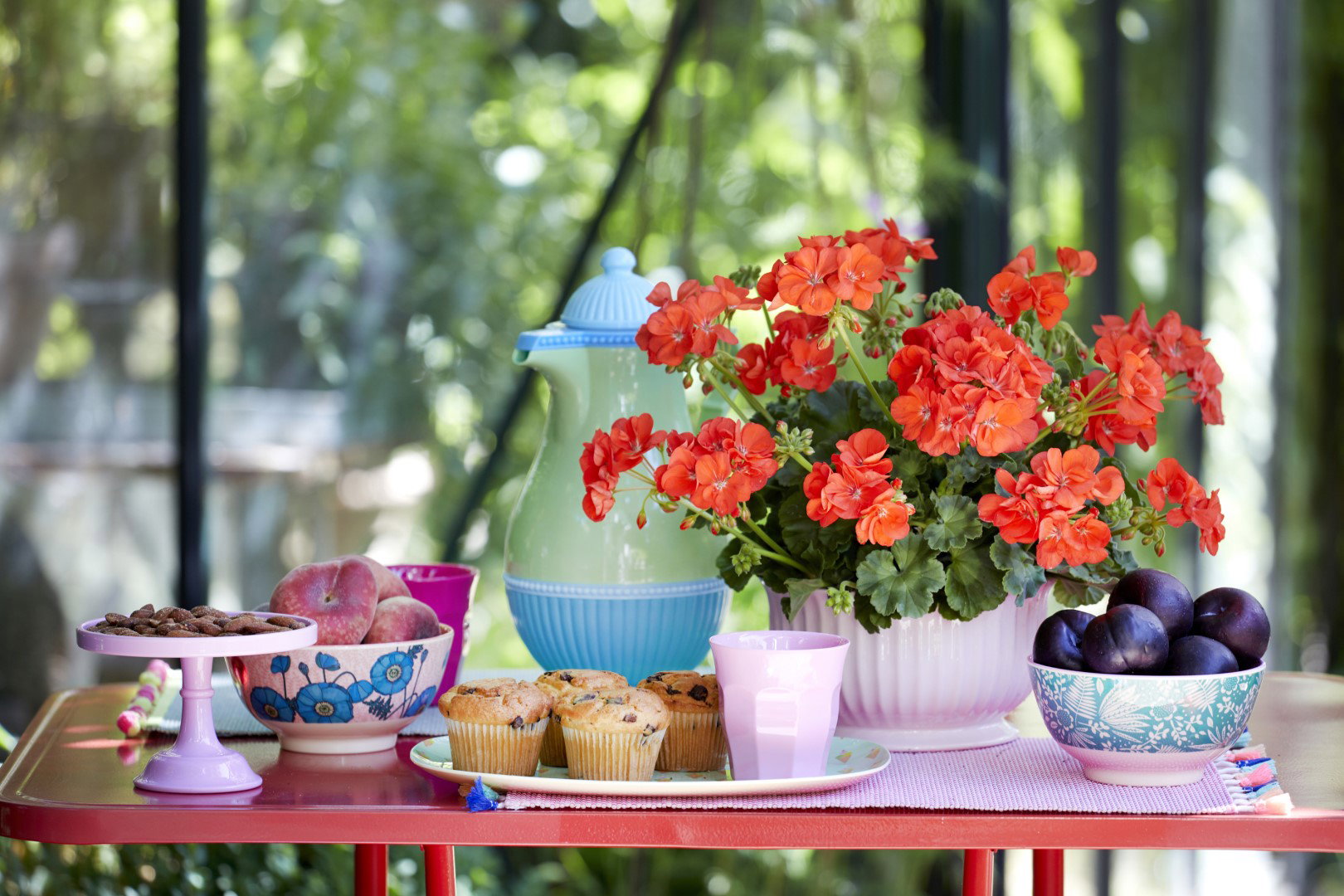 relaks z pelargonią