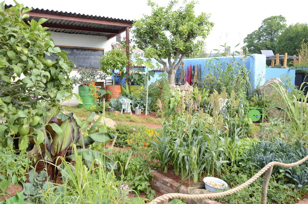 Chelsea Flower Show 2019 (21)