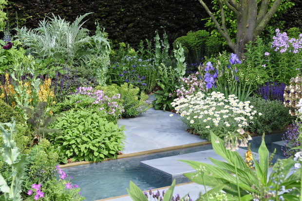 Chelsea Flower Show 2019 (35)