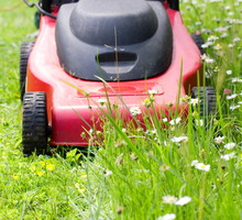 letnie koszenie trawnik