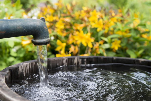 studnia głębinowa w ogrodzie