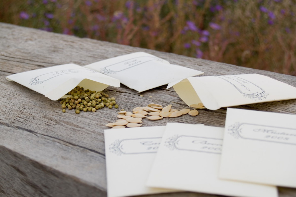 przechowywanie nasion