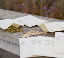 przechowywanie nasion