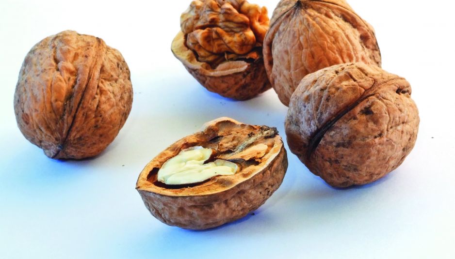 smaczne-orzechy-zawieraja-wiele-cennych-witamin-a-ponadto-znaczne-ilosci-soli-mineralnych.jpeg