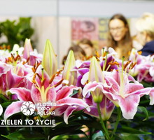 zielen-to-zycie-2019.jpeg